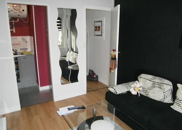 Studio 100 M Plage